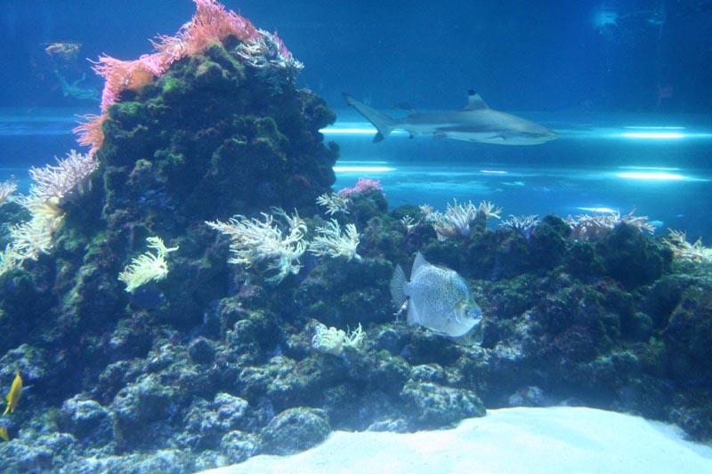 Killikus&reg; Fotographie